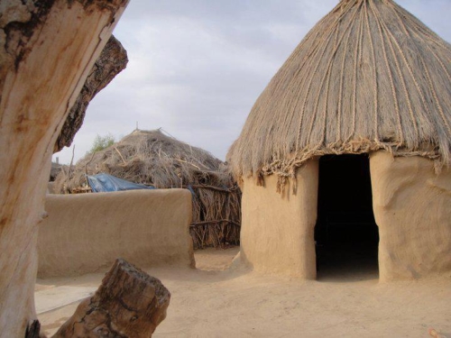 نقرتين لعرض الصورة في صفحة مستقلة