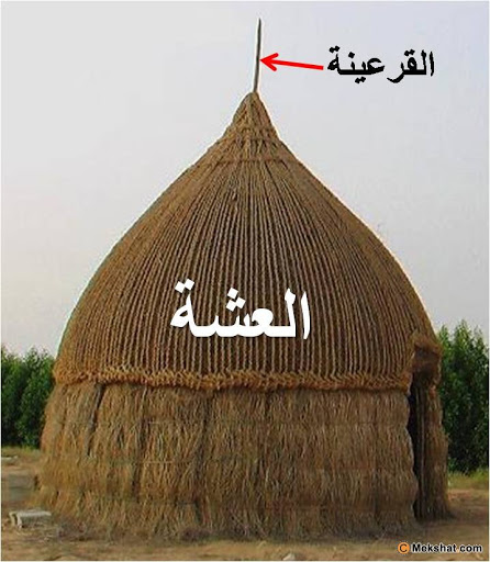 نقرتين لعرض الصورة في صفحة مستقلة