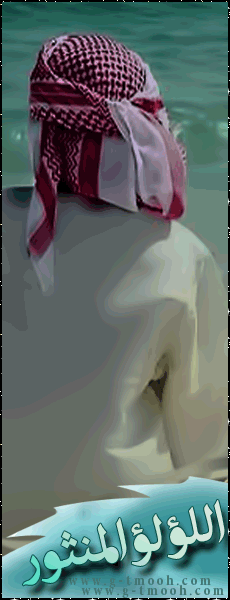 ������ ������� ������ �������