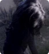 ������ ������� ����� ���������