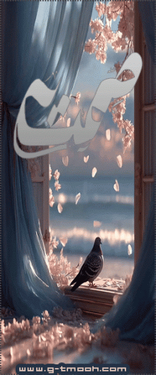 ������ ������� ���